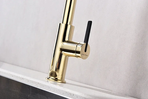 Смеситель для кухни Paulmark Tornado золото To213402-G Смеситель для кухни Paulmark Tornado золото To213402-G