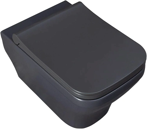 Унитаз подвесной Allen Brau Infinity 4.21011.AN с крышкой, антрацит Унитаз подвесной Allen Brau Infinity 4.21011.AN с крышкой, антрацит