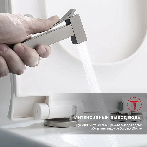 Гигиенический душ Raglo R01.51.09, графит Гигиенический душ Raglo R01.51.09, графит