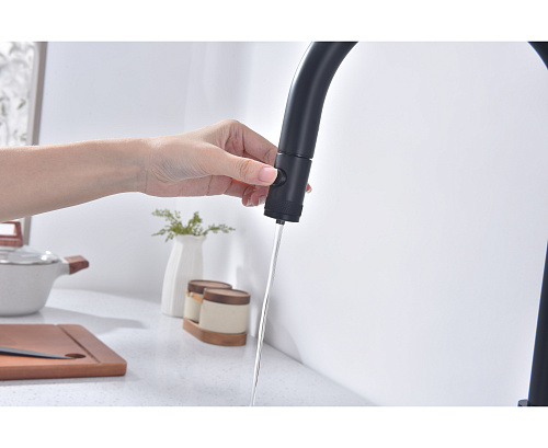 Смеситель для кухни Paulmark Galant антрацит Ga213077-AN Смеситель для кухни Paulmark Galant антрацит Ga213077-AN