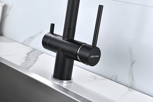 Смеситель для кухни Paulmark SERPENTINE антрацит Se213222-AN Смеситель для кухни Paulmark SERPENTINE антрацит Se213222-AN