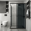 Душевой уголок Niagara Eco NG-1012-14QT (120x80x190) прямоугольник, раздвиж, профиль черный, стекло тонированное (4мм) Душевой уголок Niagara Eco NG-1012-14QT (120x80x190) прямоугольник, раздвиж, профиль черный, стекло тонированное (4мм)