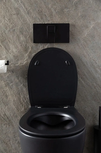 Унитаз подвесной Allen Brau Reality 4.32006.31 с крышкой, черный матовый Унитаз подвесной Allen Brau Reality 4.32006.31 с крышкой, черный матовый