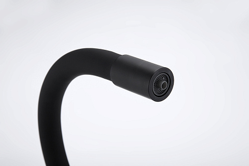 Смеситель для кухни Paulmark SALIX антрацит Sa213419-AN Смеситель для кухни Paulmark SALIX антрацит Sa213419-AN