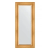 Зеркало в багетной раме Evoform Exclusive BY 3522 59 x 139 см, травленое золото Зеркало в багетной раме Evoform Exclusive BY 3522 59 x 139 см, травленое золото