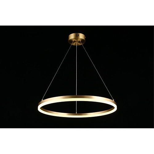 Люстра подвесная Aployt Armel APL.049.13.40 Люстра подвесная Aployt Armel APL.049.13.40