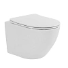 Унитаз подвесной Taliente Amato Esteso T3 AE65053 белый, с крышкой микролифт Унитаз подвесной Taliente Amato Esteso T3 AE65053 белый, с крышкой микролифт