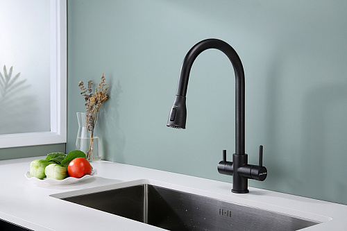 Смеситель для кухни Paulmark LANGE черный La214212-BLM Смеситель для кухни Paulmark LANGE черный La214212-BLM