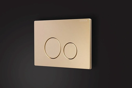 Клавиша смыва CHARUS ROBUSTO FP.330.BTG.05 брашированное золото (светлое) Клавиша смыва CHARUS ROBUSTO FP.330.BTG.05 брашированное золото (светлое)