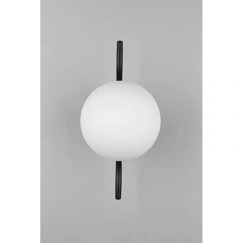 Светильник настенный (Бра) Aployt Jagna APL.312.01.01 Светильник настенный (Бра) Aployt Jagna APL.312.01.01