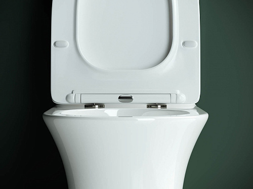 Чаша напольного унитаза Ceramica Nova STAR Rimless CN1904-B белый с сиденьем Чаша напольного унитаза Ceramica Nova STAR Rimless CN1904-B белый с сиденьем