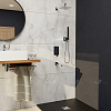 Картинка анонса товара «душевая система rgw shower panels sp-56 51140856-01 встраиваемая»