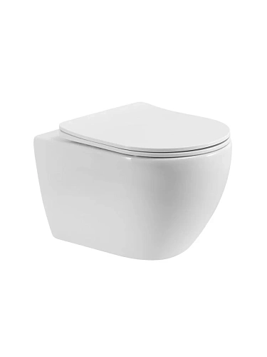 Унитаз подвесной CEZARES STYLUS-TOR CZR-546-TH-TOR/SC безободковый с сиденьем и смывом TORNADO Унитаз подвесной CEZARES STYLUS-TOR CZR-546-TH-TOR/SC безободковый с сиденьем и смывом TORNADO