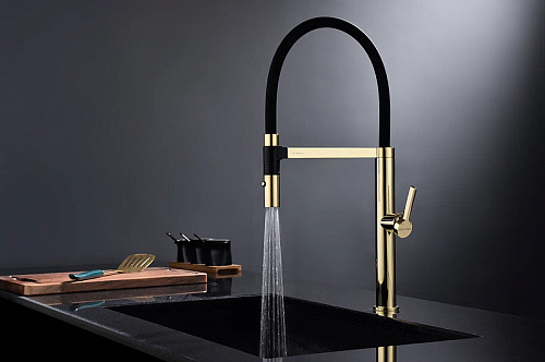 Смеситель для кухни Paulmark Leader золото Le214101-G Смеситель для кухни Paulmark Leader золото Le214101-G