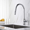 Смеситель для кухни Aquatek ЕВРОПА AQ1384CR Хром Смеситель для кухни Aquatek ЕВРОПА AQ1384CR Хром