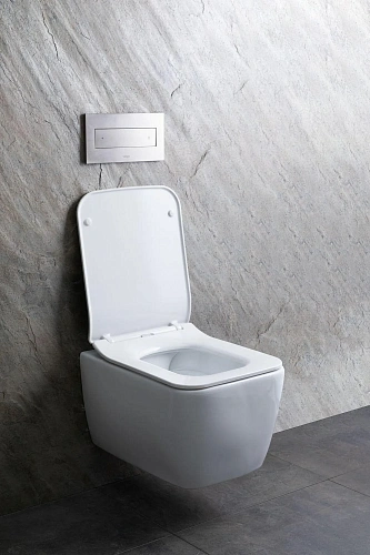 Унитаз подвесной Allen Brau Liberty 4.33007.20 с крышкой, белый Унитаз подвесной Allen Brau Liberty 4.33007.20 с крышкой, белый