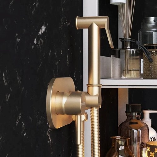 Гигиенический душ Damixa Option 214000000 Гигиенический душ Damixa Option 214000000