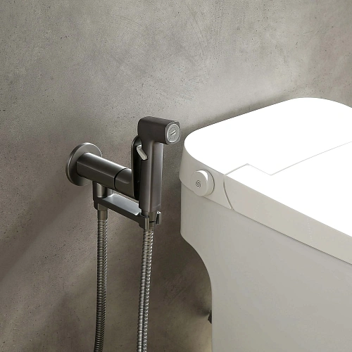 Гигиенический душ Aquatek АЛЬФА AQ1919BGM оружейная сталь Гигиенический душ Aquatek АЛЬФА AQ1919BGM оружейная сталь