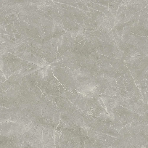 Керамогранит Laparet Wolf Grey 80x80 х9999289550 Керамогранит Laparet Wolf Grey 80x80 х9999289550