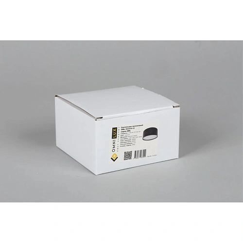 Светильник встраиваемый-накладной Omnilux Abano OML-103319-12 Светильник встраиваемый-накладной Omnilux Abano OML-103319-12