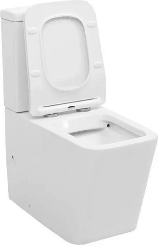 Чаша напольного унитаза Aquanet Rimless Tavr-C1 BL-103N-TPT TAVR-C1 с сиденьем Чаша напольного унитаза Aquanet Rimless Tavr-C1 BL-103N-TPT TAVR-C1 с сиденьем