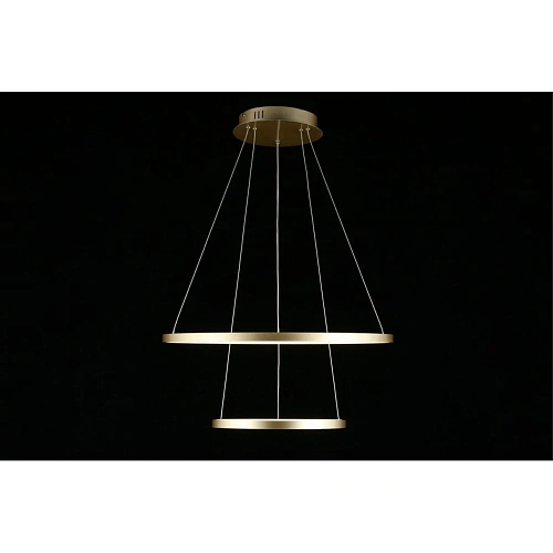 Люстра подвесная Aployt Lunet APL.014.03.60 Люстра подвесная Aployt Lunet APL.014.03.60