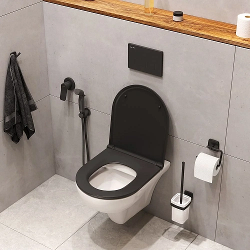 Унитаз подвесной AM.PM Gem CK90GJ в комплекте с аксессуарами и сиденьем Унитаз подвесной AM.PM Gem CK90GJ в комплекте с аксессуарами и сиденьем