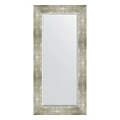 Зеркало в багетной раме Evoform Exclusive BY 1150 56 x 116 см, алюминий Зеркало в багетной раме Evoform Exclusive BY 1150 56 x 116 см, алюминий