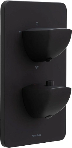 Смеситель для ванны Allen Brau Infinity 5.21316-31 (с внутренней частью, 3 выхода) черный матовый Смеситель для ванны Allen Brau Infinity 5.21316-31 (с внутренней частью, 3 выхода) черный матовый