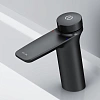Смеситель для раковины AM.PM Inspire V2.0 F50A02522 черный Смеситель для раковины AM.PM Inspire V2.0 F50A02522 черный