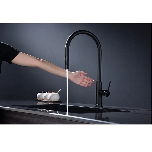 Смеситель для кухни Paulmark Senso антрацит Se215180-AN Смеситель для кухни Paulmark Senso антрацит Se215180-AN