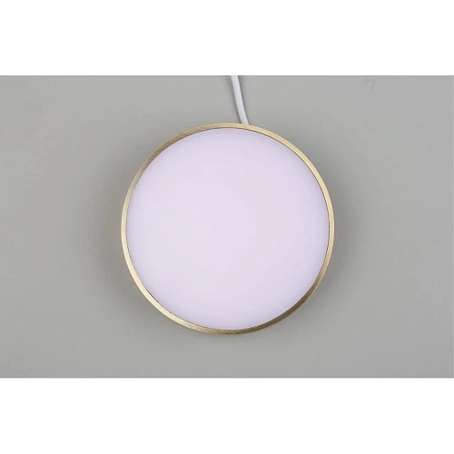 Светильник настенно-потолочный Aployt Evon APL.0114.29.18 Светильник настенно-потолочный Aployt Evon APL.0114.29.18