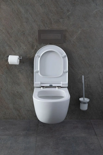 Комплект унитаза Allen Brau Priority 00301296/8.9466.0.000.000.1 (00316508) с инсталляцией, белый глянец Комплект унитаза Allen Brau Priority 00301296/8.9466.0.000.000.1 (00316508) с инсталляцией, белый глянец