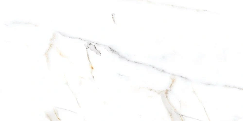 Керамогранит NT Ceramic Marmo NTT99500P 60x120 Керамогранит NT Ceramic Marmo NTT99500P 60x120