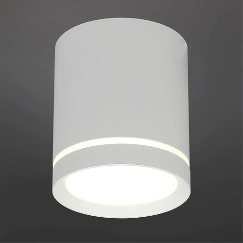 Светильник встраиваемый-накладной Omnilux Capurso OML-102409-05 Светильник встраиваемый-накладной Omnilux Capurso OML-102409-05