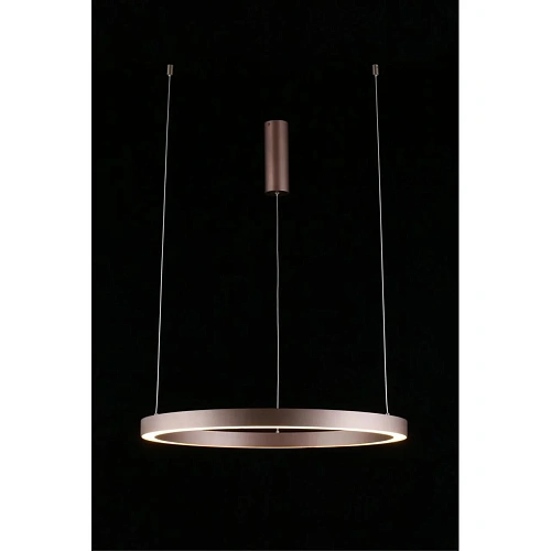 Люстра подвесная Aployt Nisia APL.025.03.48 Люстра подвесная Aployt Nisia APL.025.03.48