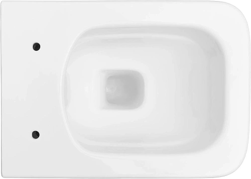 Унитаз подвесной Allen Brau Liberty 4.33007.20 с крышкой, белый Унитаз подвесной Allen Brau Liberty 4.33007.20 с крышкой, белый