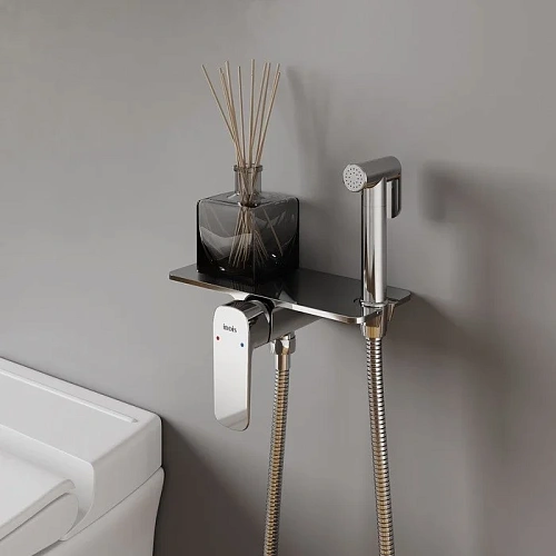 Гигиенический душ Iddis Axes (AXESBSHi08) встраиваемый Гигиенический душ Iddis Axes (AXESBSHi08) встраиваемый