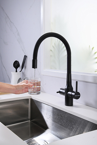 Смеситель для кухни Paulmark SALIX черный Sa213419-BLM Смеситель для кухни Paulmark SALIX черный Sa213419-BLM