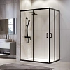 Душевой уголок RGW PA-246B 900x1200 мм 030824692-14 черный Easy Clean Душевой уголок RGW PA-246B 900x1200 мм 030824692-14 черный Easy Clean