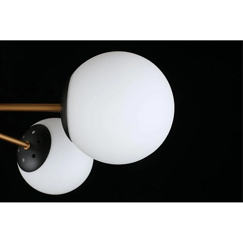 Люстра потолочная Aployt Ewka APL.906.17.07 Люстра потолочная Aployt Ewka APL.906.17.07