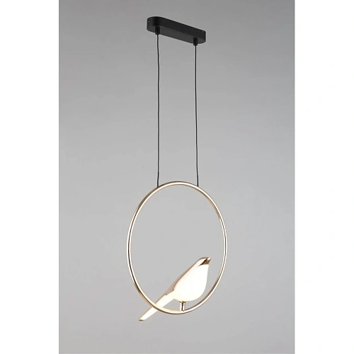 Светильник подвесной Aployt Astor APL.822.06.10 Светильник подвесной Aployt Astor APL.822.06.10