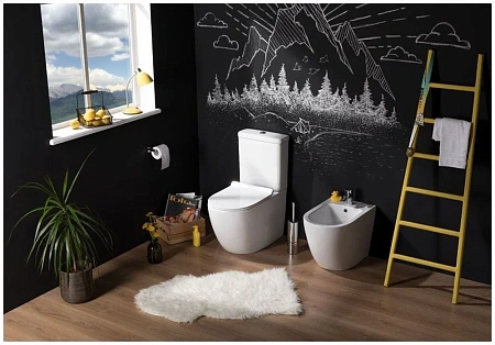 Бачок для унитаза Aquanet Cetus-C2 BL-102N-TPT CETUS-C2 Бачок для унитаза Aquanet Cetus-C2 BL-102N-TPT CETUS-C2