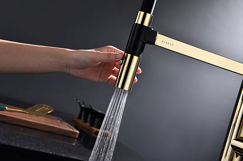 Смеситель для кухни Paulmark Leader золото Le214101-G Смеситель для кухни Paulmark Leader золото Le214101-G