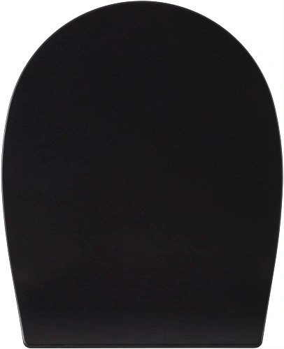 Крышка-сиденье Allen Brau Fantasy Smartfix, Soft-Close 4.11005.31 черный Крышка-сиденье Allen Brau Fantasy Smartfix, Soft-Close 4.11005.31 черный