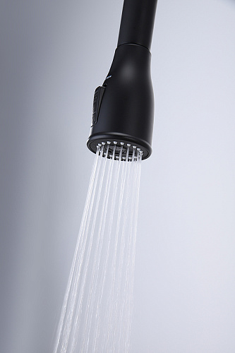 Смеситель для кухни Paulmark LANGE антрацит La214212-AN Смеситель для кухни Paulmark LANGE антрацит La214212-AN