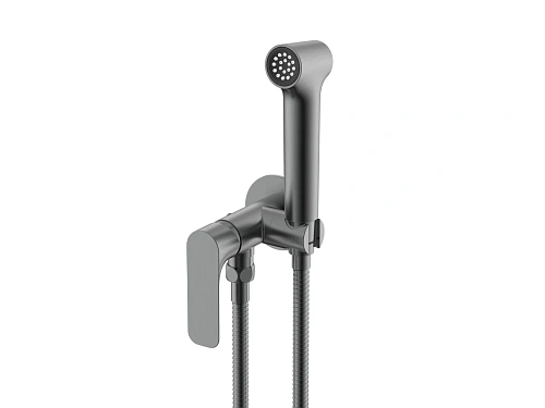 Гигиенический душ Raglo R03.52.09 встраиваемый, графит Гигиенический душ Raglo R03.52.09 встраиваемый, графит