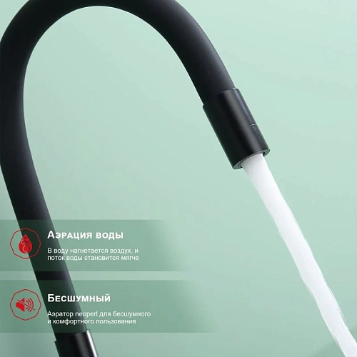 Смеситель для кухни Raglo R81.64.06 с гибким изливом с подключением к фильтру, черный Смеситель для кухни Raglo R81.64.06 с гибким изливом с подключением к фильтру, черный