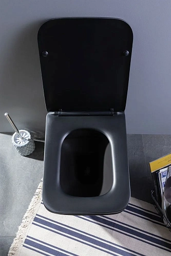 Унитаз подвесной Aquanet Rimless Tavr-W BL-103N-WHT black черный матовый TAVR-W BW с сиденьем Унитаз подвесной Aquanet Rimless Tavr-W BL-103N-WHT black черный матовый TAVR-W BW с сиденьем