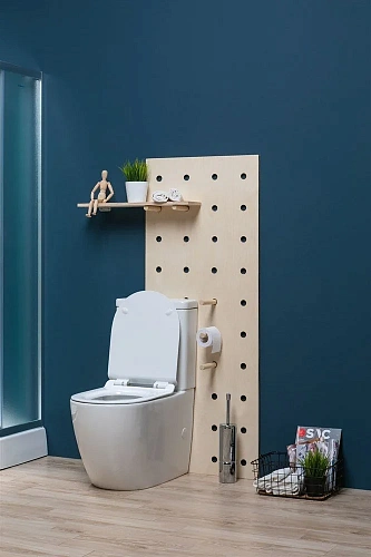 Чаша напольного унитаза Aquanet Rimless Cetus-C1 BL-102N-TPT CETUS-C1 с сиденьем Чаша напольного унитаза Aquanet Rimless Cetus-C1 BL-102N-TPT CETUS-C1 с сиденьем